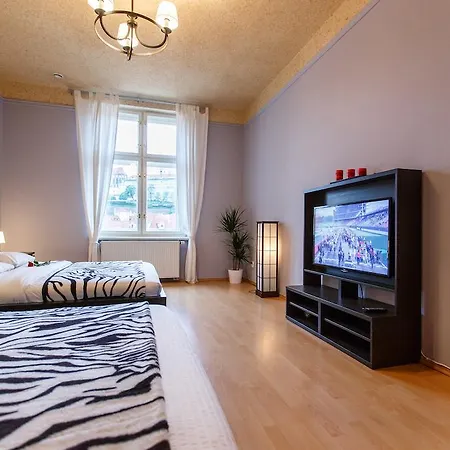 The Castle Apartment